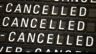 Retards: Bruxelles envisage de donner un peu d'air aux compagnies aériennes