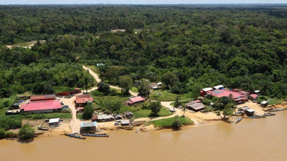  Garimpo ilegal com merc&uacute;rio polui floresta entre Suriname e Guiana francesa 