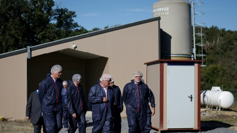 Grippe aviaire: le niveau de risque relev&eacute; "&agrave; son maximum" en France