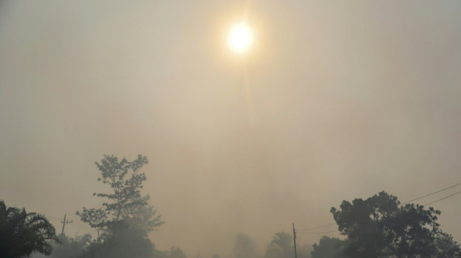  Incendies et canicules menacent la qualit&eacute; de l'air et la sant&eacute; (ONU) 