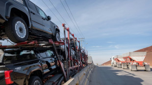 Produtores mexicanos pedem 'di&aacute;logo' para acabar com guerra comercial com EUA