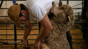 Una escuela en Espa&ntilde;a prepara a los "pastores del siglo XXI"