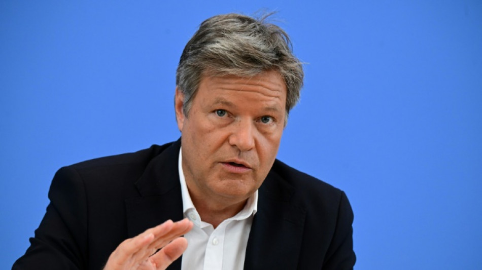 Habeck zieht sich aus der Tagespolitik zun&auml;chst einmal zur&uuml;ck