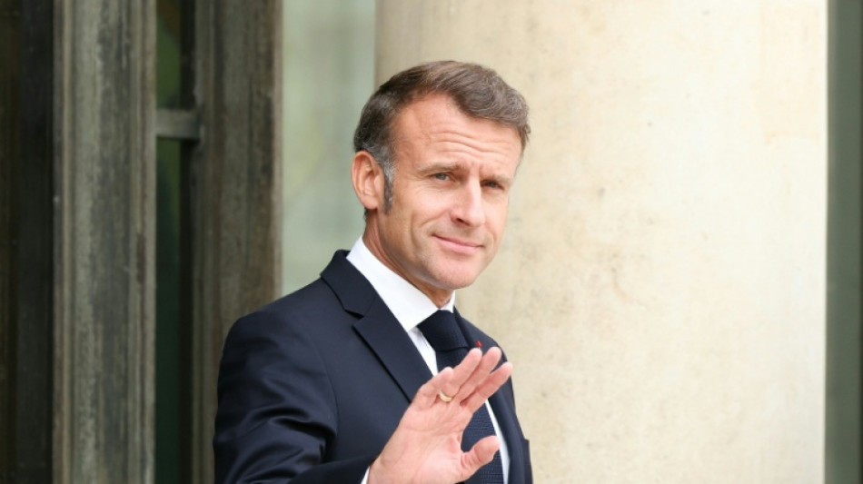 Macron espera opini&oacute;n del Consejo Constitucional para decidir sobre un cuestionado pesticida