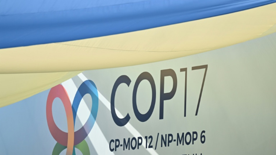 Argentina, Colombia, &iquest;Brasil?... El tsunami conservador latinoamericano alcanza la COP17 