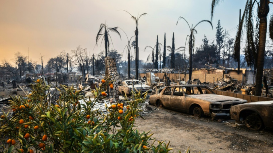 Face aux pillages, les rescap&eacute;s des incendies de Los Angeles s'improvisent en justiciers