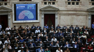 Argentine: les d&eacute;put&eacute;s adoptent la r&eacute;forme du travail de Milei apr&egrave;s une journ&eacute;e de gr&egrave;ve g&eacute;n&eacute;rale