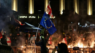 Zehntausende protestieren in Georgien bei Kommunalwahlen - Polizei setzt Tr&auml;nengas ein