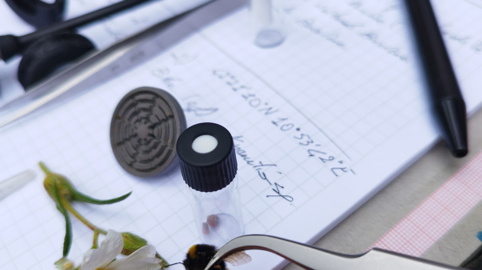 In Sardegna alla ricerca di microplastiche su fiori e insetti