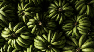 Massenentlassungen bei US-Bananen-Konzern Chiquita in Panama nach Streiks