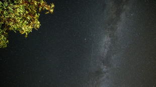 Più antico della Terra il meteorite finito su una casa in Usa