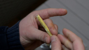 &Auml;rztekammer warnt vor geplanter Legalisierung von Cannabis