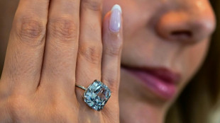 Un diamant bleu rare vendu aux ench&egrave;res pour 21,5 millions de dollars