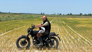 Campos de arroz del "tri&aacute;ngulo de oro" italiano, diezmados por la sequ&iacute;a
