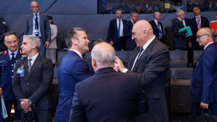 Crosetto, 'su obiettivi di difesa Nato puntiamo al 2035'