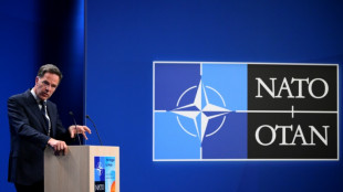 Un sommet de l'Otan pour apaiser Trump et sauver l'unit&eacute; de l'Alliance