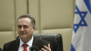 Katz, 'useremo tutta la forza in Libano contro ogni minaccia a soldati'