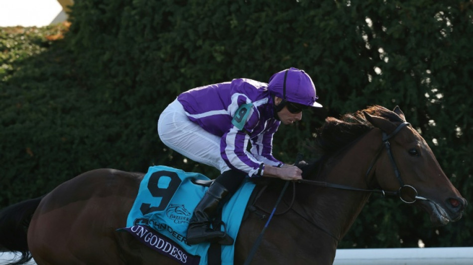 Sun Goddess wins at Breeders' Cup, O'Brien leads Baffert 