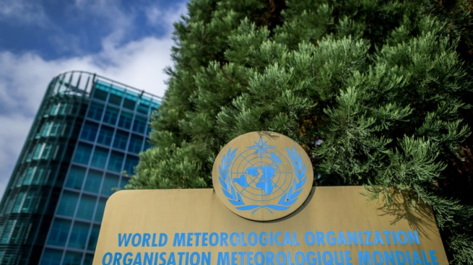  L'ONU appelle &agrave; prot&eacute;ger les fr&eacute;quences radio indispensables &agrave; l'observation de la Terre 