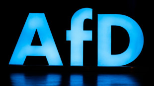 Landeschef der AfD Niedersachsen gewinnt Zivilprozess um Korruptionsvorw&uuml;rfe