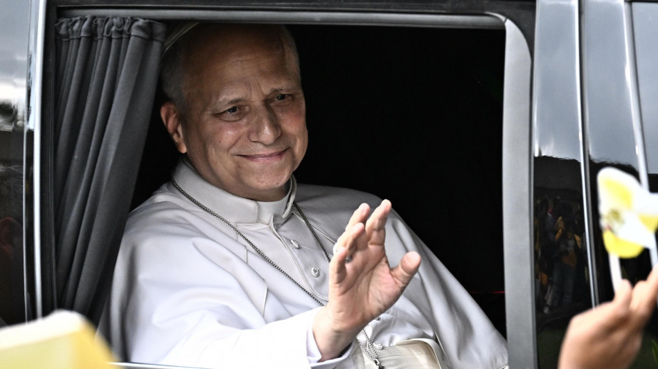  Scoperta una nuova falena dedicata a Papa Leone 