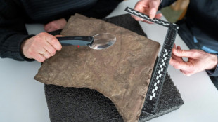 La piedra r&uacute;nica m&aacute;s antigua del mundo, descubierta en Noruega