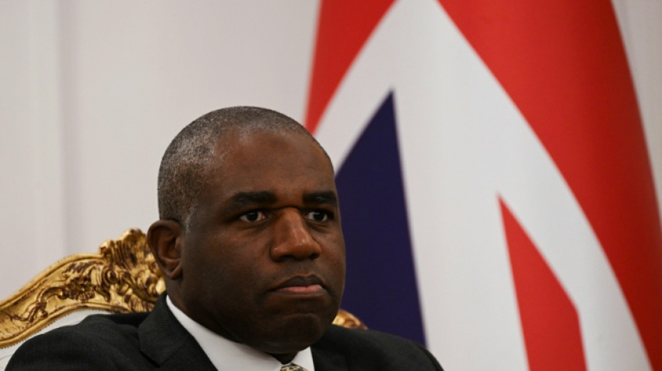 Londres acusa a Israel de detener e impedir el ingreso a dos legisladoras