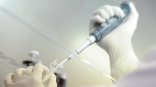 In Usa 'il neonato pi&ugrave; vecchio', embrione congelato nel 1994