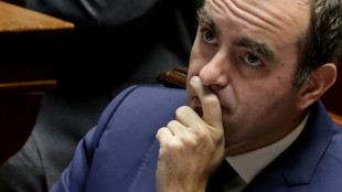 El primer ministro franc&eacute;s escapa por poco a la censura