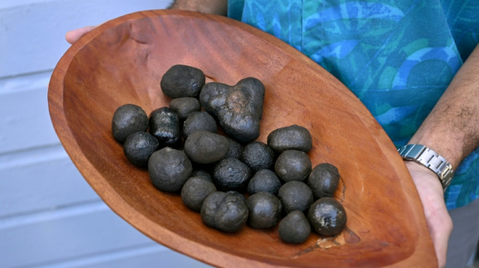 'Significant declines' in some species after deep-sea mining: research