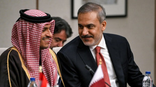 Ministertreffen zu Syrien: Arabische Staaten fordern "friedlichen &Uuml;bergang"