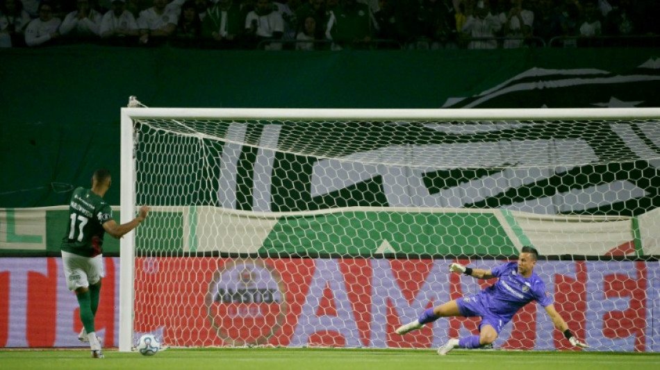  Palmeiras edge Fluminense to reach Copa Libertadores final 