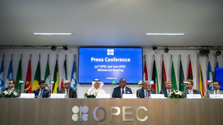 Rusia considera que el recorte de producci&oacute;n de la OPEP+ "estabilizar&aacute; el mercado del petr&oacute;leo"