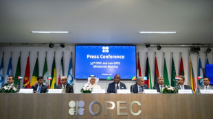 Rusia considera que el recorte de producci&oacute;n de la OPEP+ "estabilizar&aacute; el mercado del petr&oacute;leo"