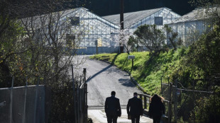 Sospechoso de tiroteo en granjas en California comparecer&aacute; ante la corte