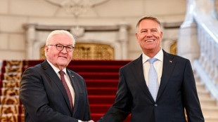 Steinmeier reist zu Staatsbesuch nach Rum&auml;nien