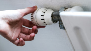 So viele Kunden wie nie wechselten 2024 Strom- oder Gaslieferanten