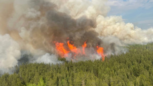 Près de six millions d'hectares brûlés par les feux de forêt au Canada