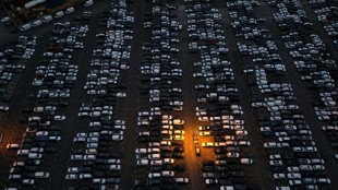 Berlin: Chinas Ausnahmen bei Exportverbot für Nexperia-Chips "positive erste Signale"