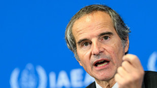 Aiea, 'mai detto che Iran sta costruendo un'arma nucleare'