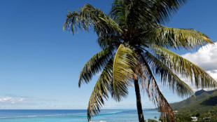 Le tourisme en Polyn&eacute;sie fran&ccedil;aise retrouve ses niveaux d'avant-Covid
