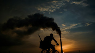 Principal termoel&eacute;ctrica de Cuba sufre aver&iacute;a y programan apagones