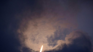 Puesto en órbita con éxito el satélite europeo que medirá el carbono en los bosques