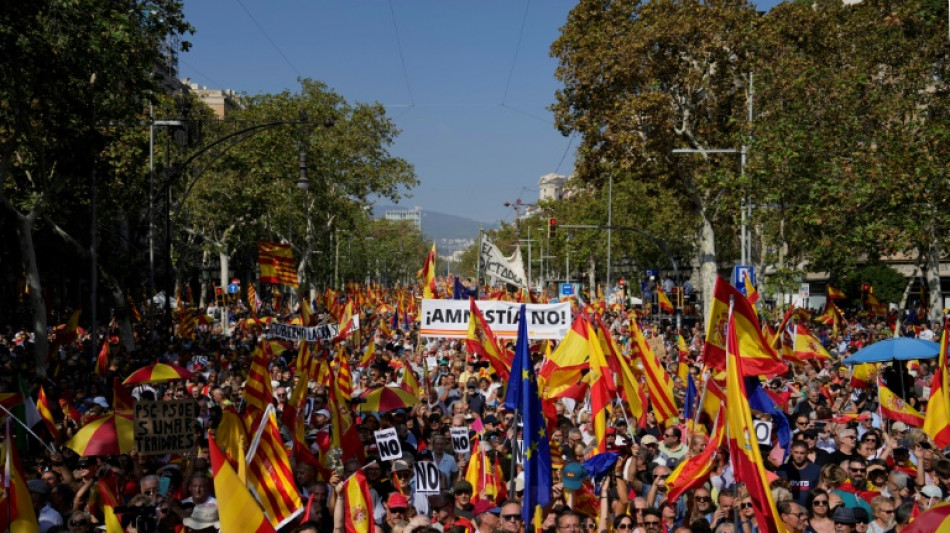 At Barcelona rally, Spanish right lambasts amnesty plan