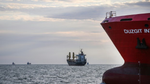 Sur le Danube, la gal&egrave;re pour sauver les c&eacute;r&eacute;ales ukrainiennes