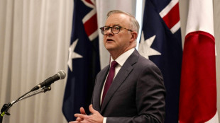 Albanese wirbt f&uuml;r Unterst&uuml;tzung von Referendum zu "indigener Stimme" im australischen Parlament 