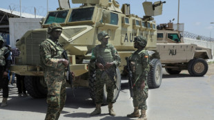 Suicide truck bomber kills 13 in central Somalia: police 