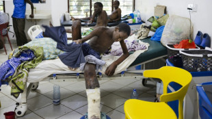 Le Kenya à la recherche d'antivenins contre le fléau des morsures de serpents