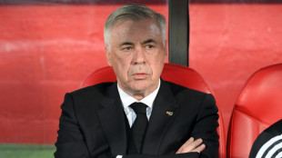 Foot: le Br&eacute;sil va attendre jusqu'en mai pour Ancelotti