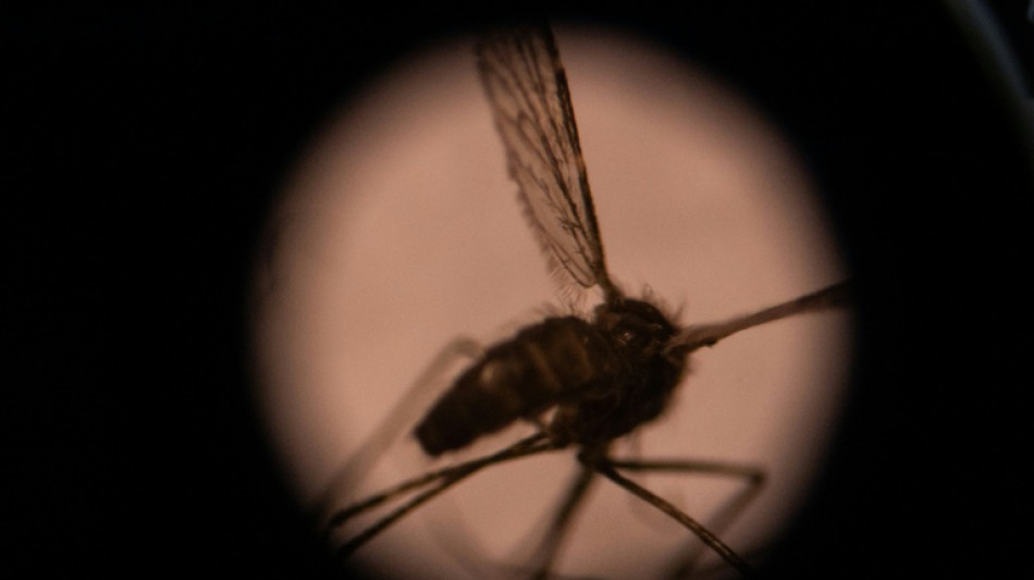  What if we killed all mosquitoes? 
